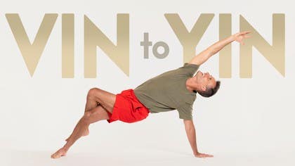 Vin to Yin
